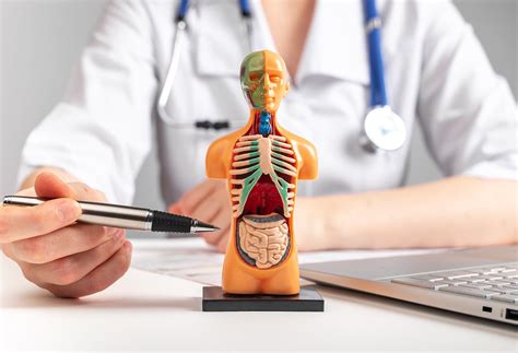 Specialist, Internal Medicine