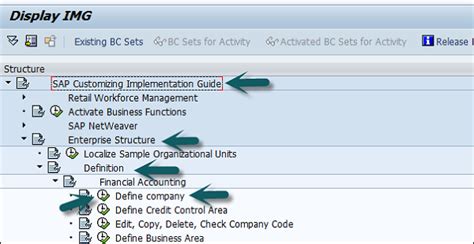 Image result for SAP Implementation Guide