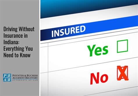 Auto Insurance No Drivers License 的图像结果