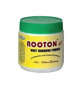 Rooton-St Cutting Root Hormone Powder for Wood Cuttings | Fast Root ...