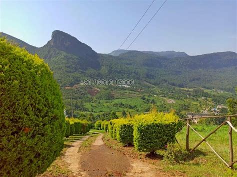 Vrindhavan Resort - kanthalloor (KR 3825) | PRIVATE STAYS Leisure Stay