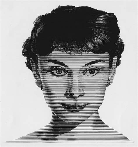 Image result for Scratchboard Examples