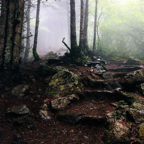 Mt. Si trail near North Bend, WA : r/hiking