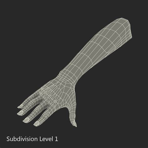 Image result for Female Hand 3D Modeling