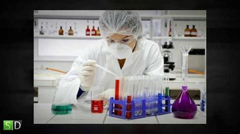 Biomedical Engineering Job Description 的图像结果