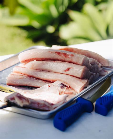 Mahi Mahi Fillet Temp at April Langdon blog