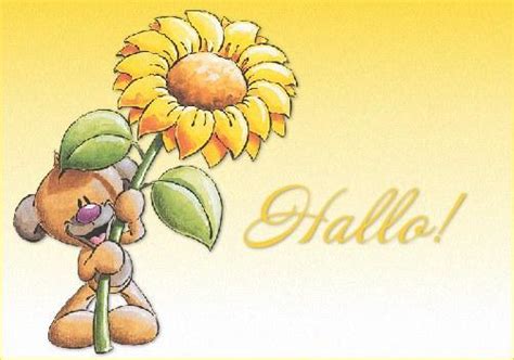 Hello 的图像结果