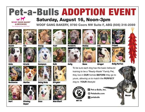 Pet-A-Bulls at Woof Gangs