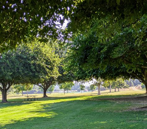 About – Bates Nut Farm