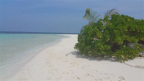OCEAN BEACH INN - MALDIVES (Hangnaameedhoo Island) - Resort Reviews ...