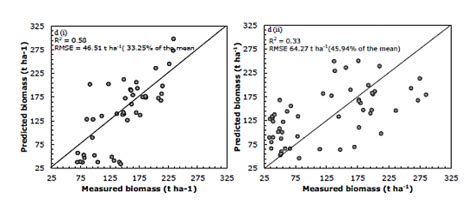 Intra-and-Inter Species Biomass Prediction in a Plantation Forest ...