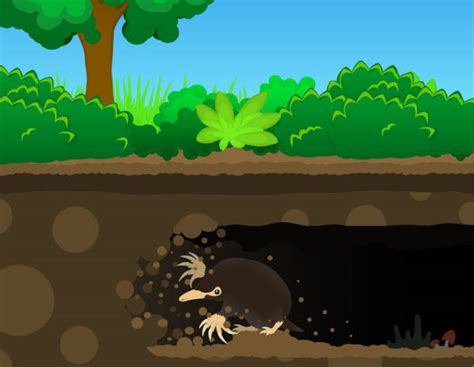 Dig Deeper Cartoon 的图像结果