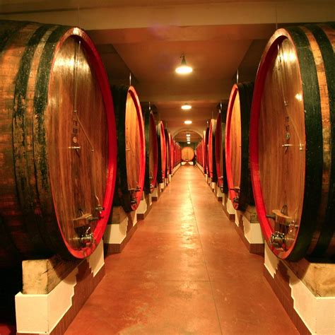 ZONIN 1821 (Gambellara) - 2022 What to Know Before You Go