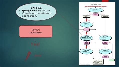 Rezultat imagine pentru V-fib Algorithm
