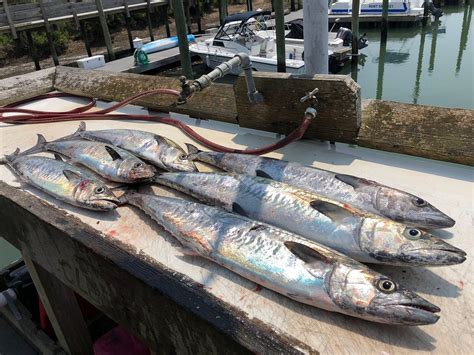 WHY KNOT CHARTERS (Updated 2026) All You Need to Know BEFORE You Go ...