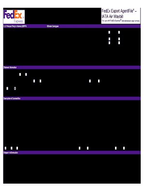 Fedex Export AgentFile 2010 - Fill and Sign Printable Template Online