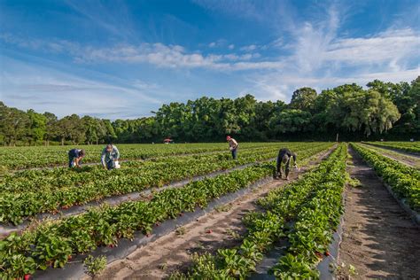 Rezultat imagine pentru FACEBOOK