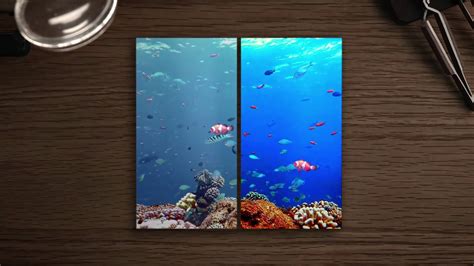 AMOLED LCD 的图像结果