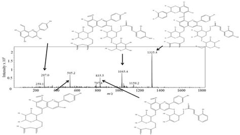Formation, Tentative Mass Spectrometric Identification, and Color ...