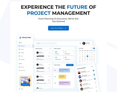 Image result for Projet Pro