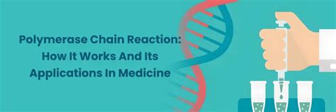 Understanding PCR in Medicine: Applications & Function