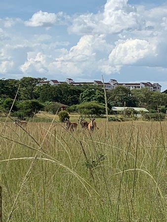 Mukuvisi Woodlands (Harare) - 2020 What to Know Before You Go (with ...