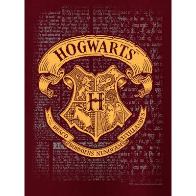 T shirts in Kolkata: Buy T Shirts in Kolkata Online at Beyoung