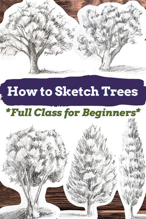 Image result for Scetching Lesson How to Draw a Tree