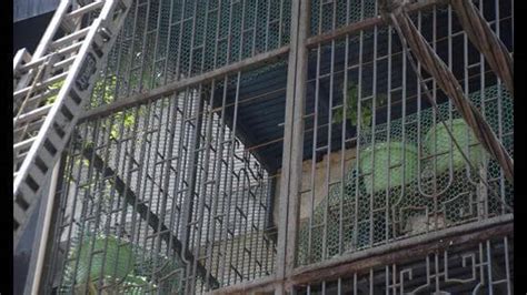 Vivek Vihar fire: MCD says iron grilles block escape, probes violations