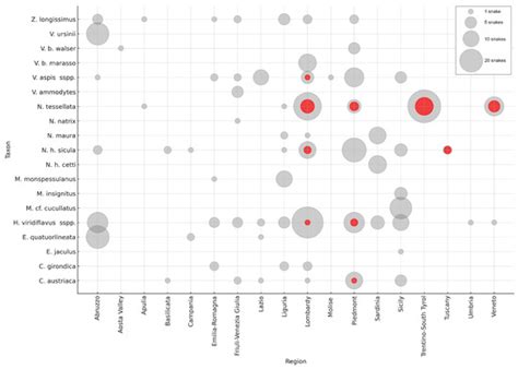 Nationwide Screening Unveils Endemic Ophidiomyces ophidiicola Presence ...