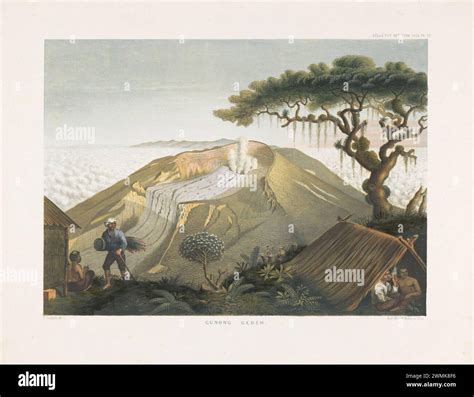 Album Kenyedfun Java 的图像结果