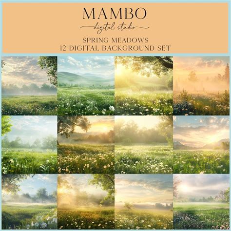 Digital Backdrop 的图像结果