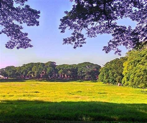 THE 30 BEST Places to Visit in Quezon City (2026)