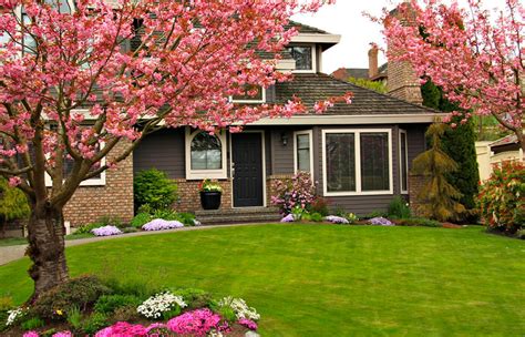 Image result for Spring Lawn Care Tips