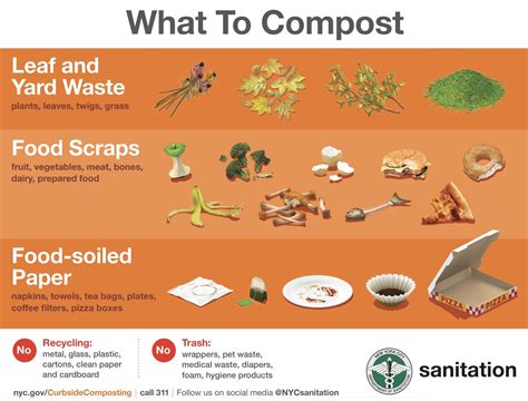 How to Get Started Composting in NYC | Brooklyn SolarWorks