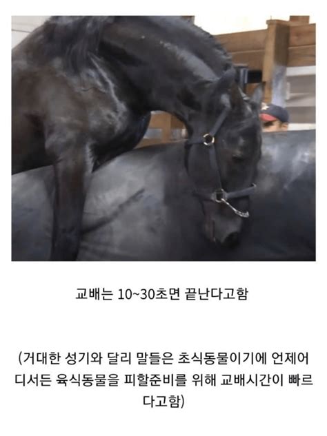 정액먹기 - Best photos on ksp.org.tw