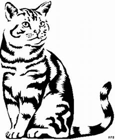 malvorlage gestreifte katze gestreifte katze 2 ausmalbild malvorlage tiere malvorlage gestreifte katze gestreifte katze 2 ausmalbild malvorlage tiere