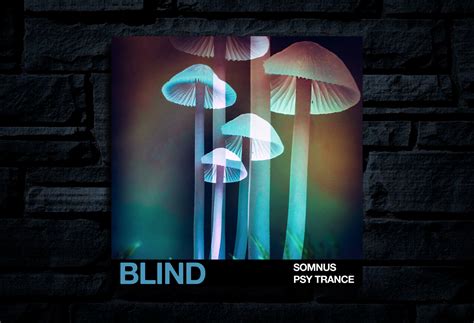 Blind Audio Somnus Psy Trance WAV | SOLOSAMPLES