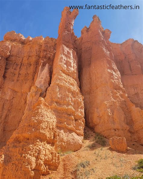 Fantastic Feathers: The Ultimate Guide to Bryce Canyon National Park ...