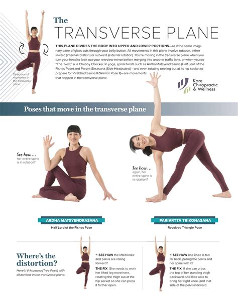 Transverse Plane Movements