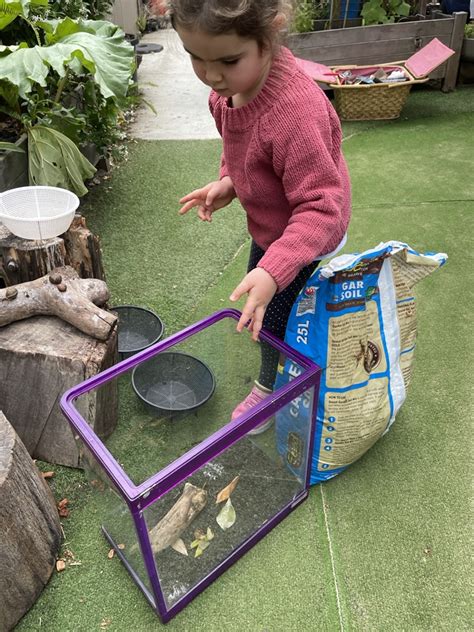 Image result for Snails Learning