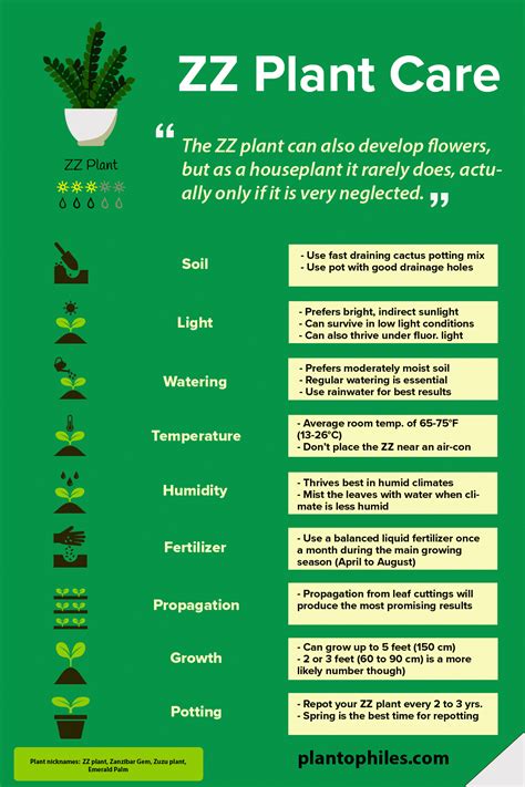 Best Care for a ZZ Plant - Zamioculcas zamiifolia Plant Care | Pothos plant care, Pothos plant ...