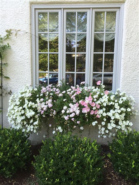 Pink and White Flower Window Box