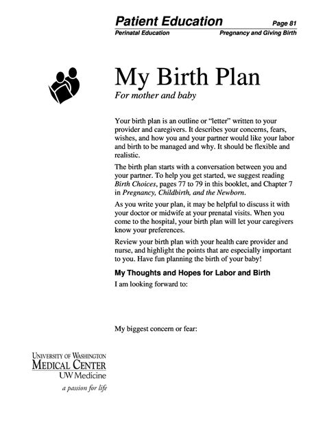 47+ Printable Birth Plan Templates [Birth Plan Checklist] ᐅ TemplateLab