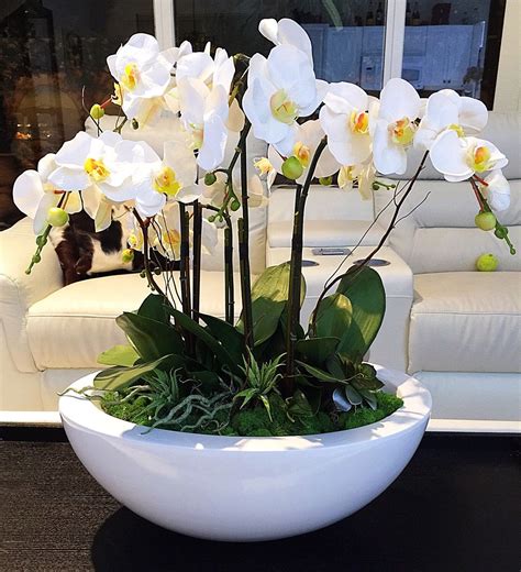 Large White Orchid Arrangement, Realistic Orchids Set In White Vase ...