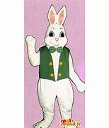 Image result for White Rabbit Costume Kids
