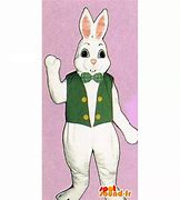 Image result for Magic Hat Rabbit Costume
