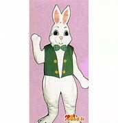 Image result for White Rabbit Costume Ideas