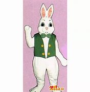 Image result for Rabbit Costume with Skid Marks
