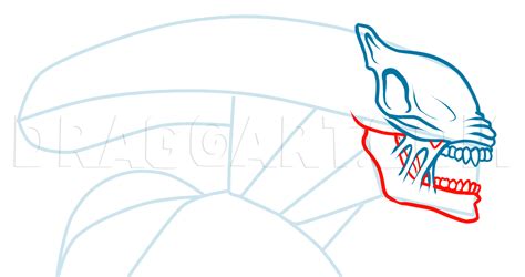 Image result for Alien vs Predator Draw